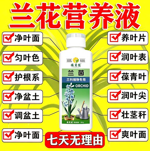 兰花专用微生物菌剂营养液兰灵王君子兰蝴蝶兰黄叶黑斑干尖肥料