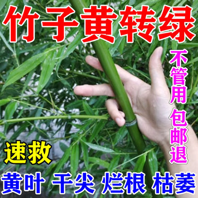 竹子专用营养液竹子专用肥料急救叶子发黄烂根药竹子黄叶药营养液