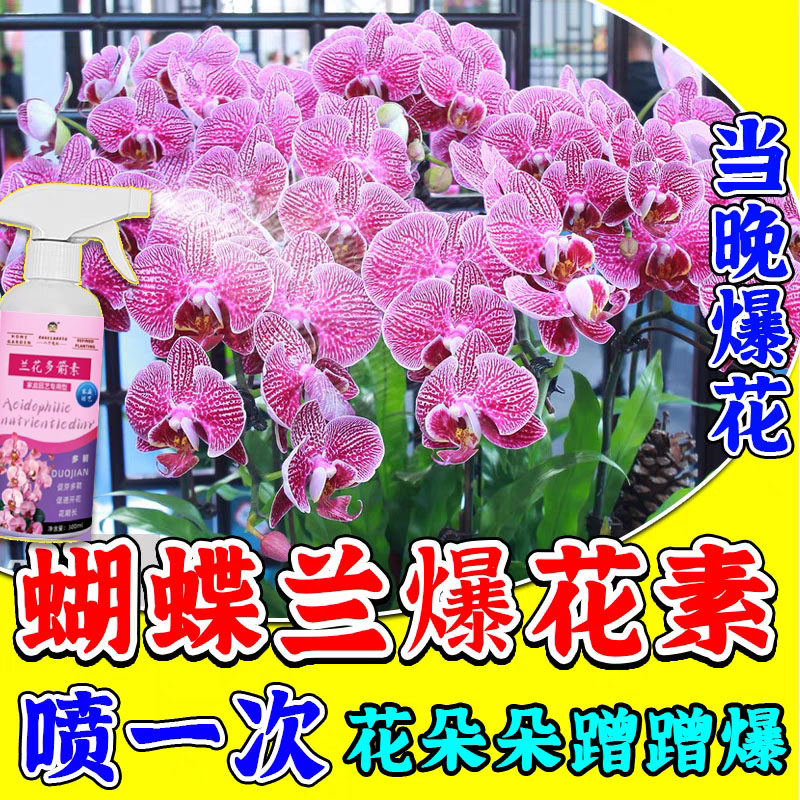 蝴蝶兰肥料营养液促芽素开花肥兰花促开花生根催剑剂免稀释水溶肥,鲜花速递/花卉仿真/绿植园艺,家庭园艺肥料,淘宝优惠券,粉丝福利购,淘宝优惠卷