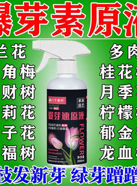 爆芽素原液三角梅月季桂花发财树植物通用优芽老桩生根催芽分化剂