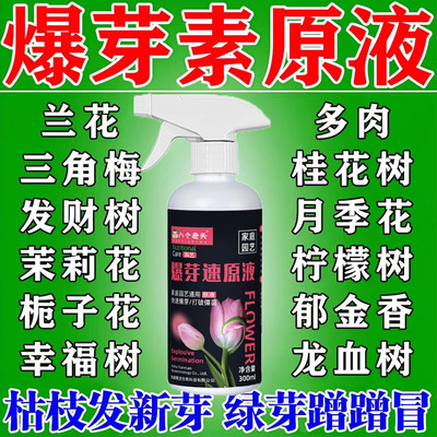 爆芽素原液三角梅月季桂花发财树植物通用优芽老桩生根催芽分化剂