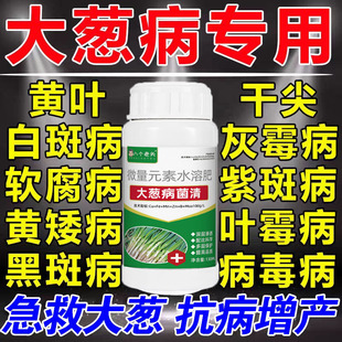 病菌清大葱黄叶家用干尖病软腐病茎腐病紫斑白斑病生物菌剂叶面肥