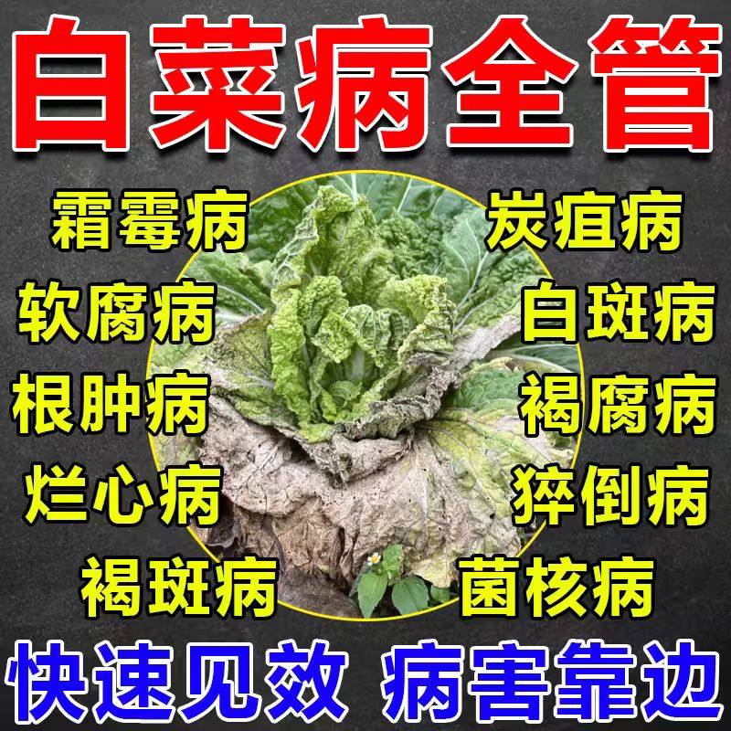 白菜专用药病白菜防腐防烂药大白菜烂根黄叶腐烂软腐病灰霉病专用