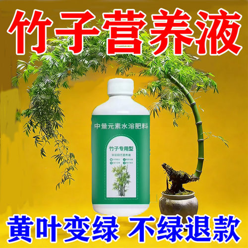 竹子专用营养液竹子专用肥料急救叶子发黄烂根药竹子黄叶药营养液