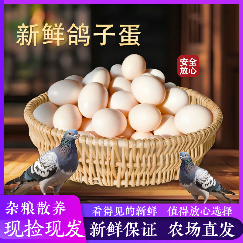 福建现产现发新鲜杂粮鸽子蛋