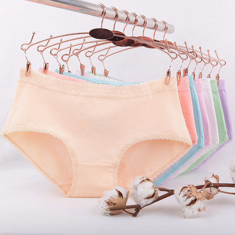 Slip jeunesse NTX1560 en coton - Ref 669119 Image 3