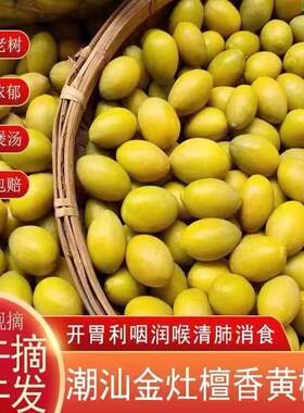 新鲜黄橄榄檀香甘香潮汕