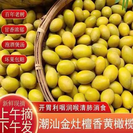 新鲜黄橄榄檀香甘香潮汕金灶老树金黄煮汤泡酒孕妇水果天然生青果