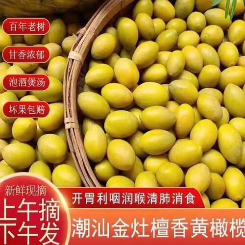 新鲜黄橄榄檀香甘香潮汕