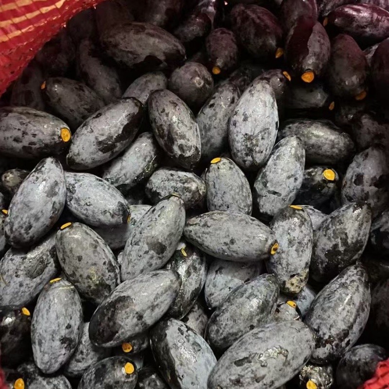 正宗乌橄榄油榄车酸榄左尾榄土榄