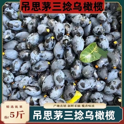 潮汕特产新鲜吊思茅三捻乌橄榄油榄精选优质生榄角可制泡榄包邮