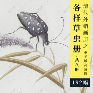 各样草虫彩绘图册清代外销画昆虫博物画水粉水彩画彩铅临摹高清图