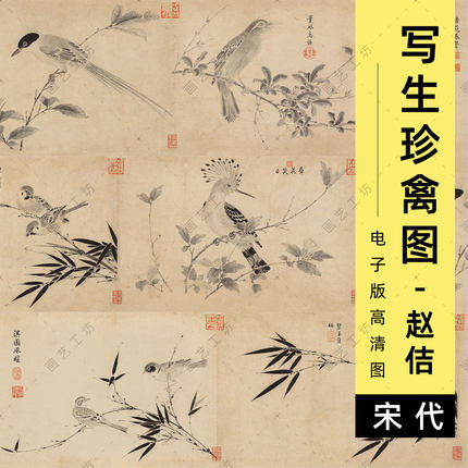 写生珍禽图电子版宋代赵佶宋徽宗花鸟水墨花卉宋画临摹高清图