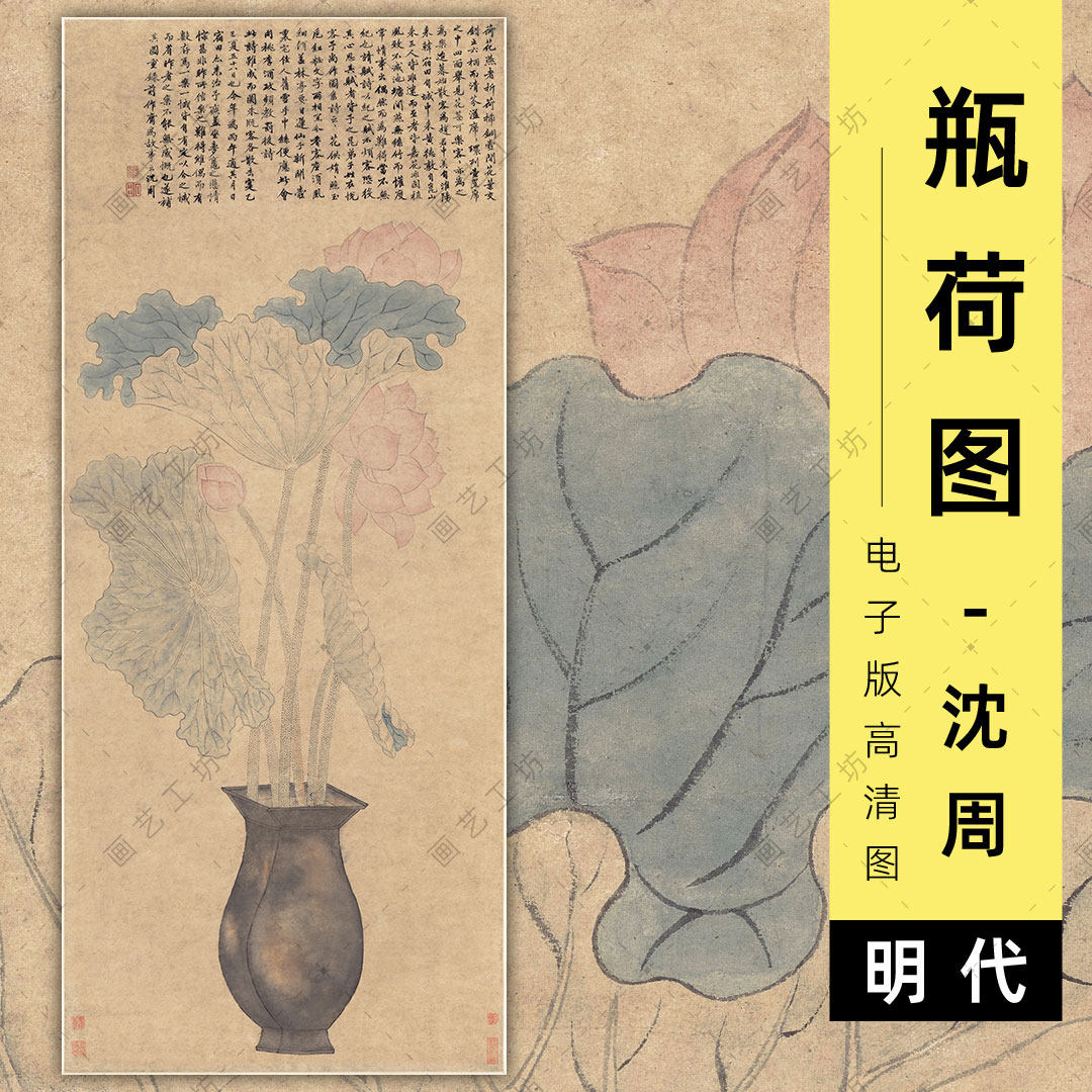 瓶荷图电子版高清明代沈周没骨花卉折枝插花瓶花水彩荷花彩铅临摹