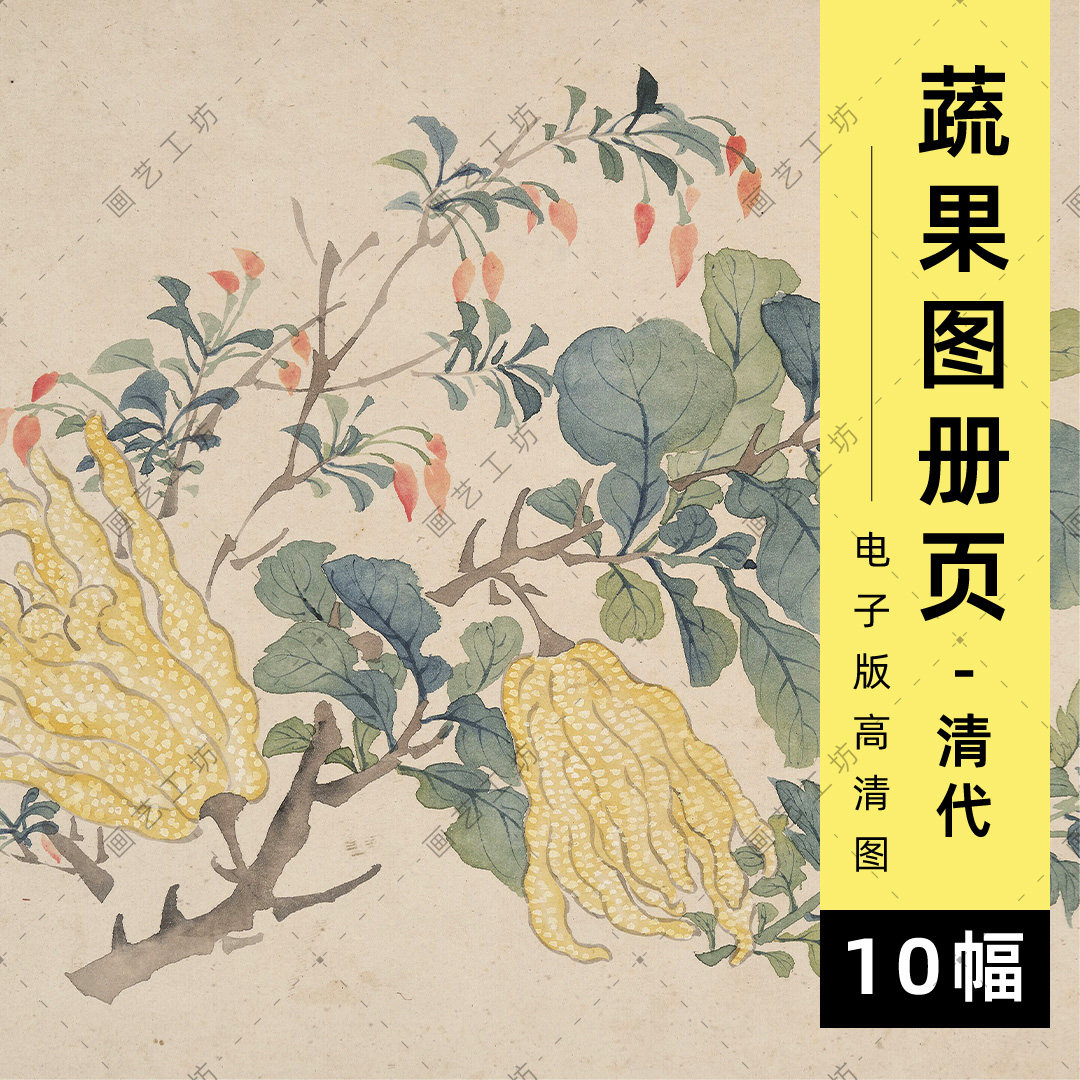 蔬果册电子版清代顾洛花卉佛手瓜石榴桃子白菜竹笋枇杷临摹高清图
