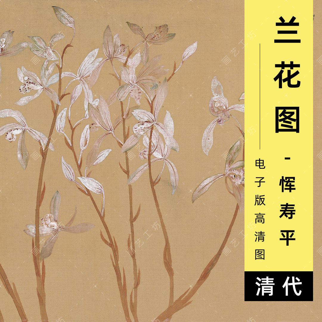 兰花图电子版清代恽寿平建兰图没骨花卉装饰国画临摹高清图