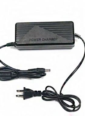 适用喜德盛电动车充电器48V2A喜德盛锂电宝德驰 充电器