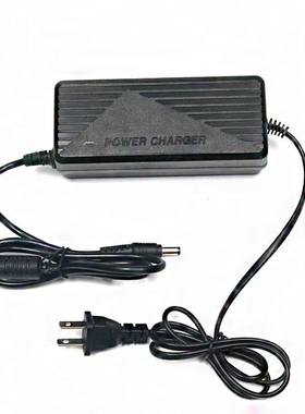 适用喜德盛电动车充电器48V2A喜德盛锂电宝德驰 充电器