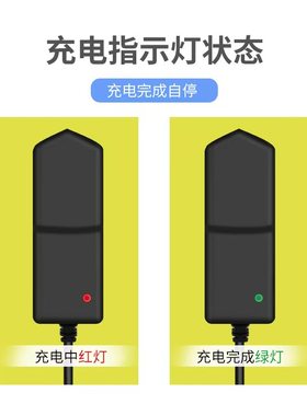 适用LUYAO璐瑶塑身推脂机 LY-551C按摩棒充电器8.4V1A 16W配件线