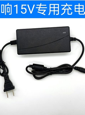 适用JBL高端移动演艺音响SK-9500音箱电源适配器充电器线DC 15V6A