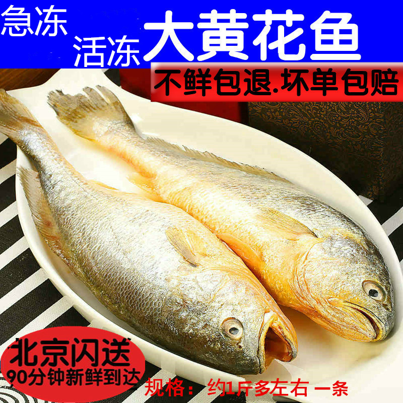 ÐÂÏʼ±¶³»Æ»¨ÓãÒ°Éú»î¶³´ó»ÆÓã±ùÏÊÉº£Óã1½ï×óÓÒ¾©½òÒí3Ìõ°üÓÊ