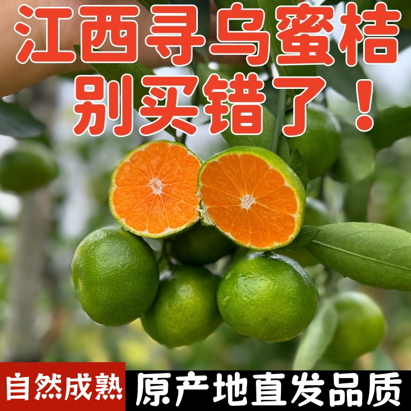 江西寻乌蜜桔现摘现发