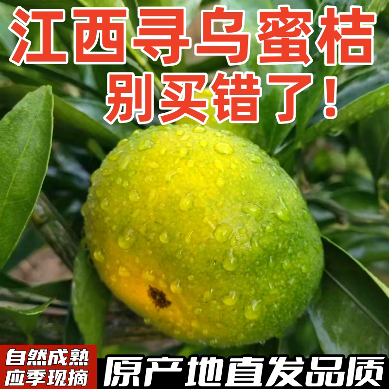 顺丰赣南寻乌蜜桔无籽薄皮整箱