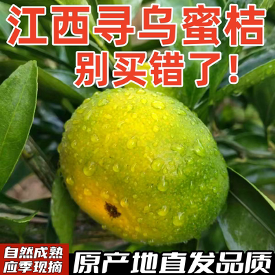 顺丰赣南寻乌蜜桔无籽薄皮整箱