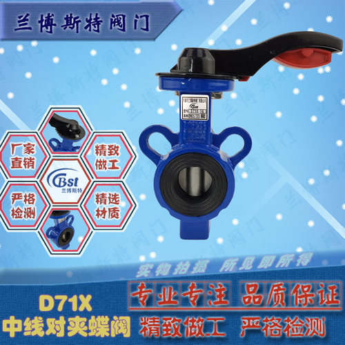 兰博斯特小口径25/32蝶阀D71X