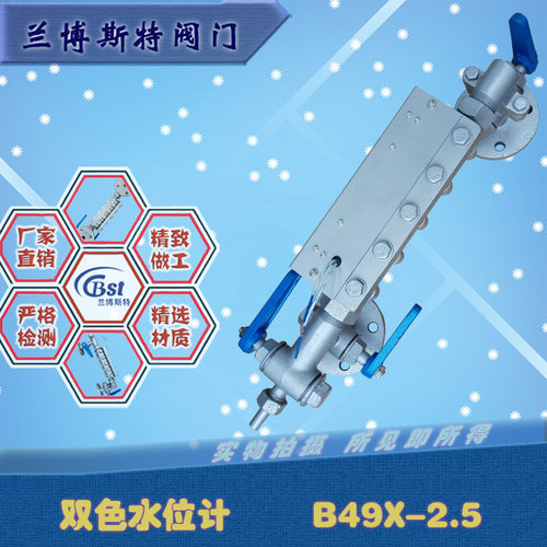 透反射式双色液位计B49X-25