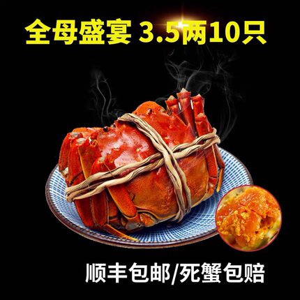 【活蟹】苏州大闸蟹10只礼盒装鲜活现货螃蟹可特大全母阳澄湖镇