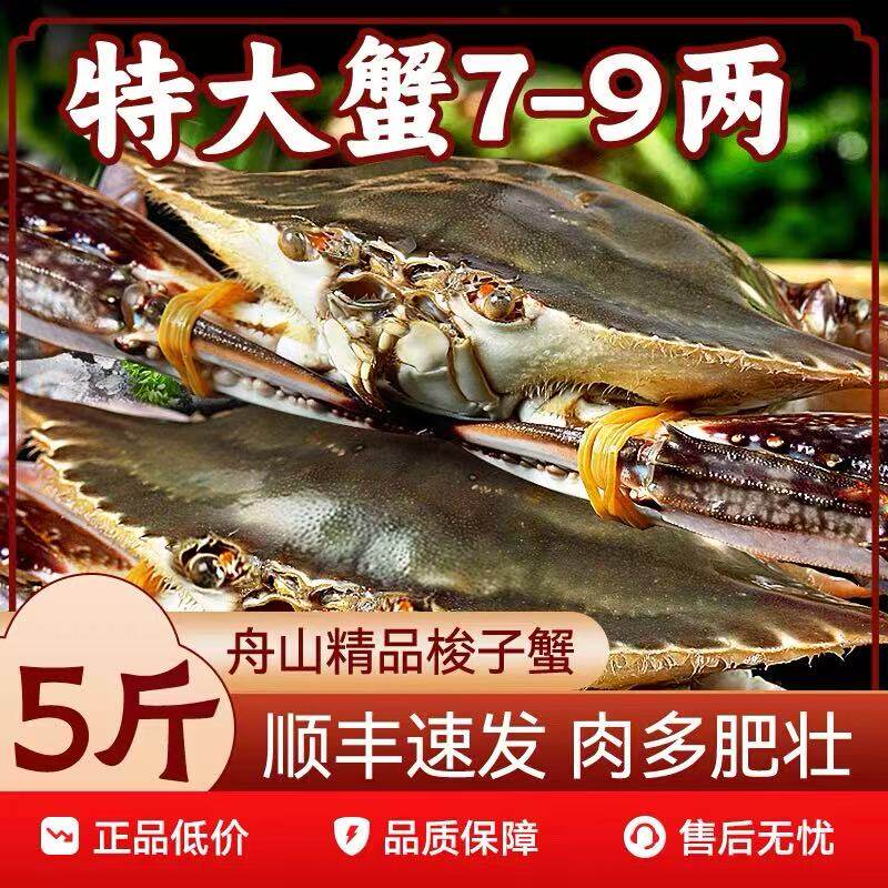 舟山鲜活梭子蟹新鲜海鲜水产特大野生海蟹白蟹母蟹公螃蟹飞蟹顺丰