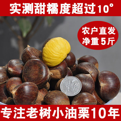 2025正宗迁西野生农家现摘即食小板栗生新鲜散装毛栗子5斤油锥栗