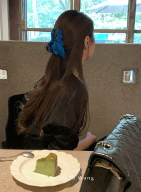 显白雀蓝系~亮色系鲨鱼夹抓夹