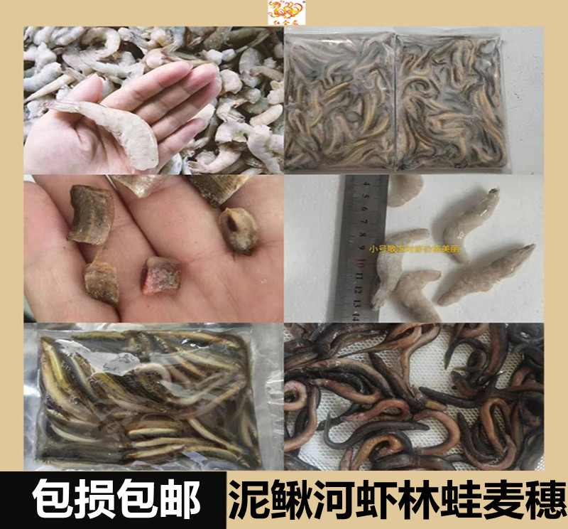 红金龙鱼饲料天津中大型观赏鱼