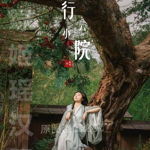 other/其他古装汉服清平调魏晋风