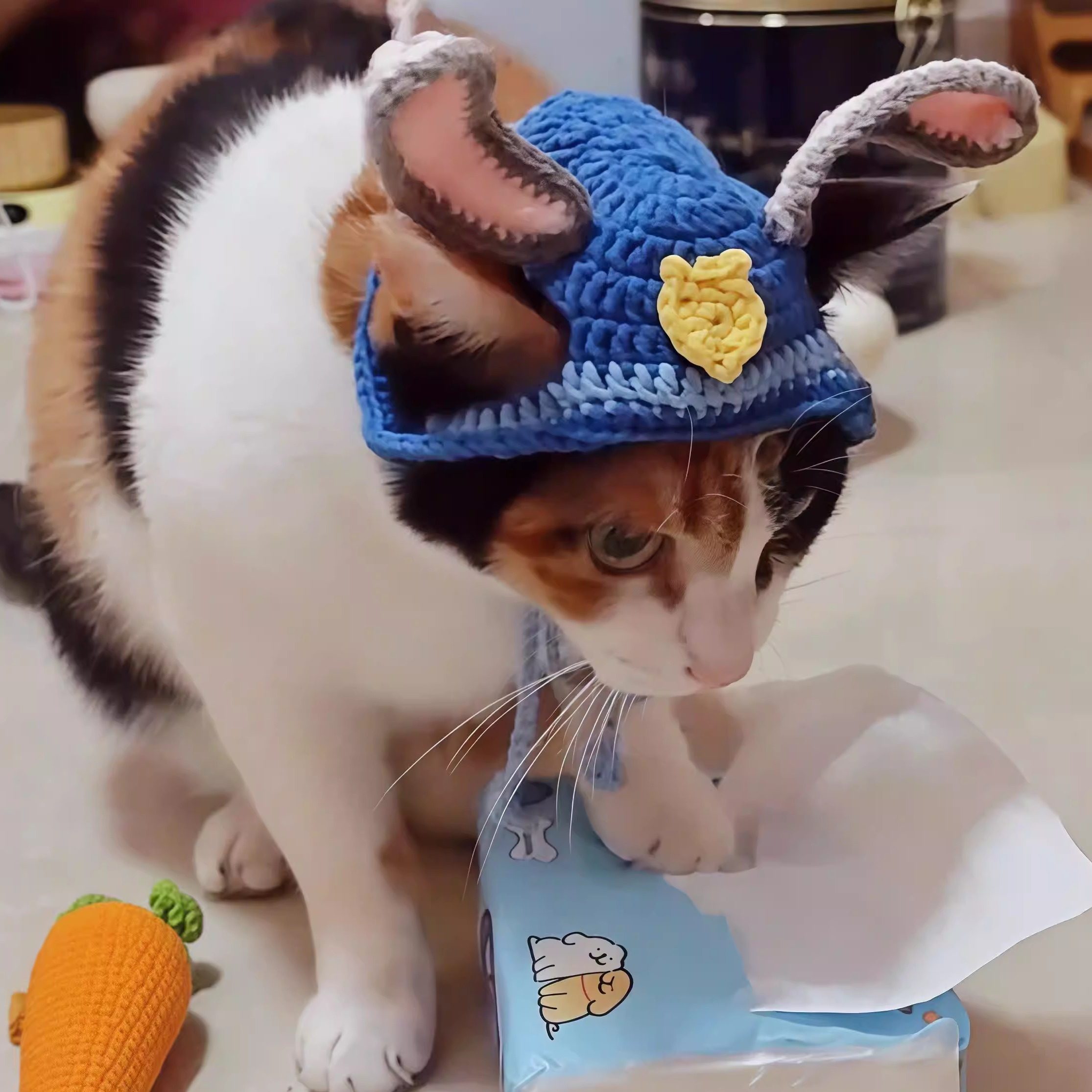 热销爆款抖音同款蒸蚌猫咪露耳朵帽子手工编织朱迪尼克同款宠物帽,宠物/宠物食品及用品,帽子,淘宝优惠券,粉丝福利购,淘宝优惠卷