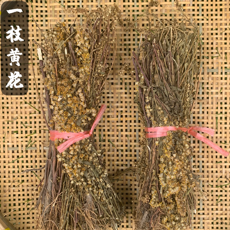 一枝黄花中药材野生一支黄花老虎尿500克一斤晒干包邮药人采摘