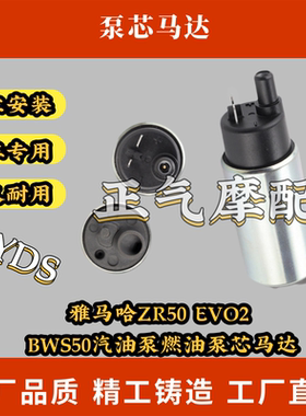 雅马哈ZR50 EVO2 BWS50汽油泵燃油泵芯马达