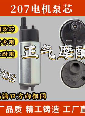 适用于雅马哈天剑王YBR250飞致YS250 JYM250-2A电喷车汽油泵芯燃
