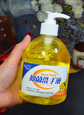宝中宝抑菌洗手液500ml大瓶