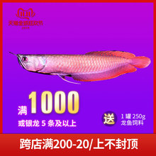 银龙鱼活体风水鱼金龙鱼苗热带龙鱼1