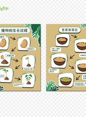 幼儿园植物角环创主题动物记录表