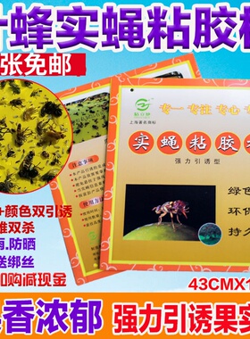 实蝇粘胶板果蝇贴灭果蝇诱捕器瓜果实蝇诱粘剂驱针蜂引诱剂粘虫板