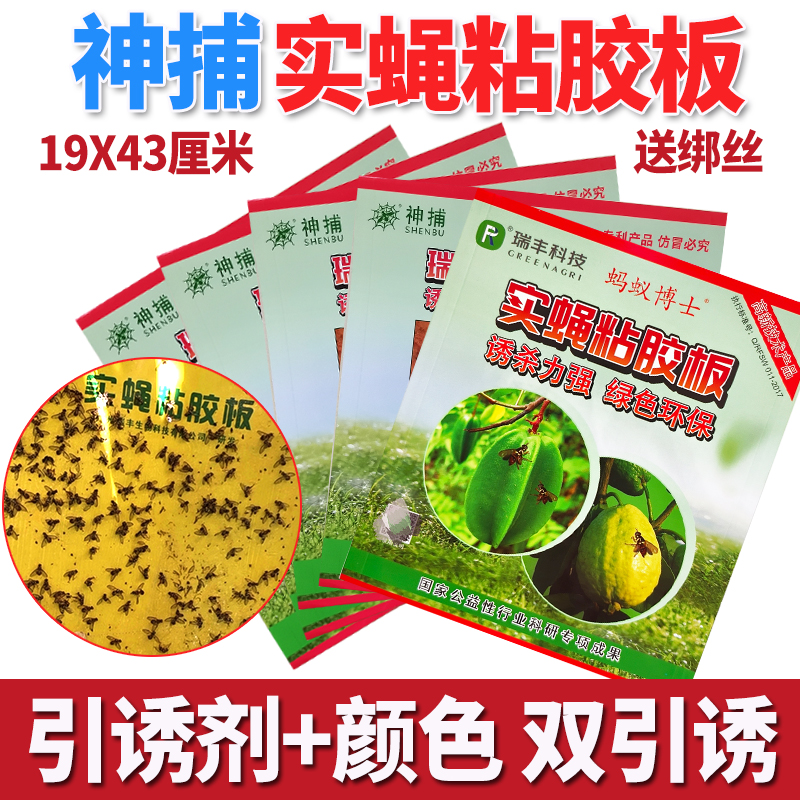 瓜果实蝇粘胶板果蝇贴针蜂诱粘板