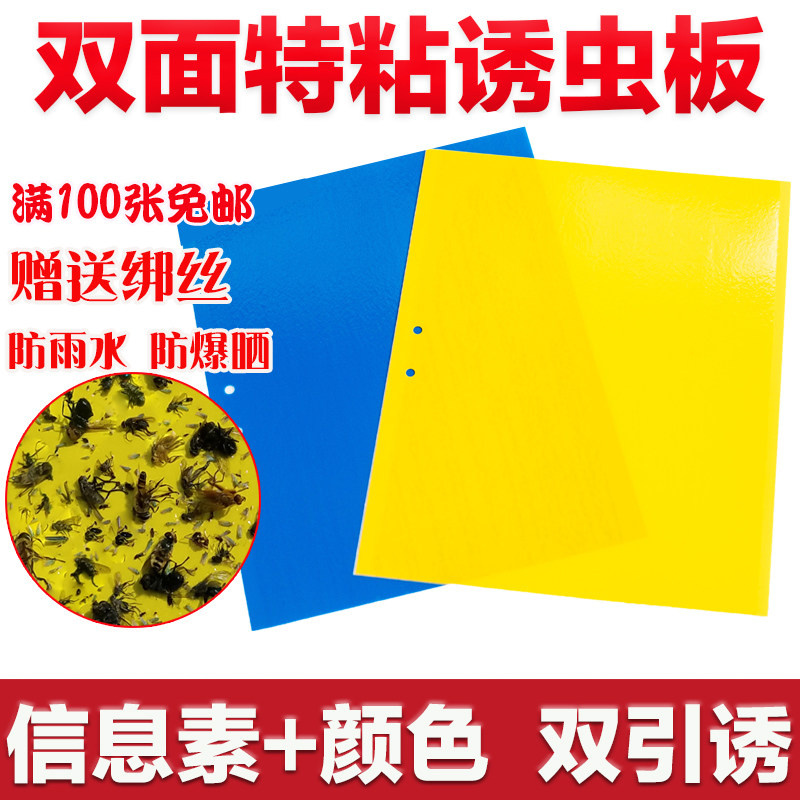小黑飞黄色粘虫板黄板双面诱虫板果蝇贴蓝板大棚粘虫防虫帖粘蝇板