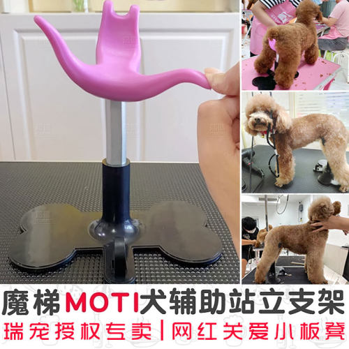 魔梯MOTI犬辅助站立支架美容师狗狗用网红宠物关爱小板凳