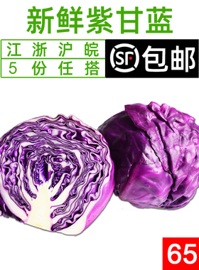 紫甘蓝650g 紫包菜球紫色红椰菜西餐蔬菜生菜轻食沙拉食材5件包邮