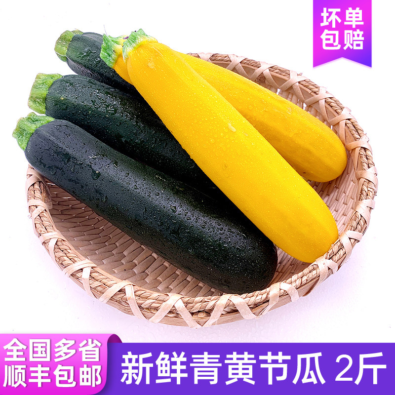 节瓜新鲜 黄节瓜 青节瓜 青黄茄瓜2斤 西葫芦 顺丰包邮