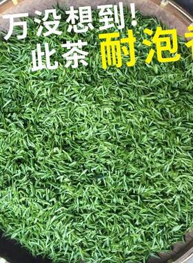 会明春日照高山绿茶正宗新茶春茶500g无农害山东炒青茶叶散装浓香